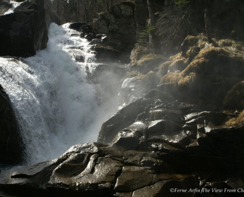 Cauterets: a Kingdom of Water