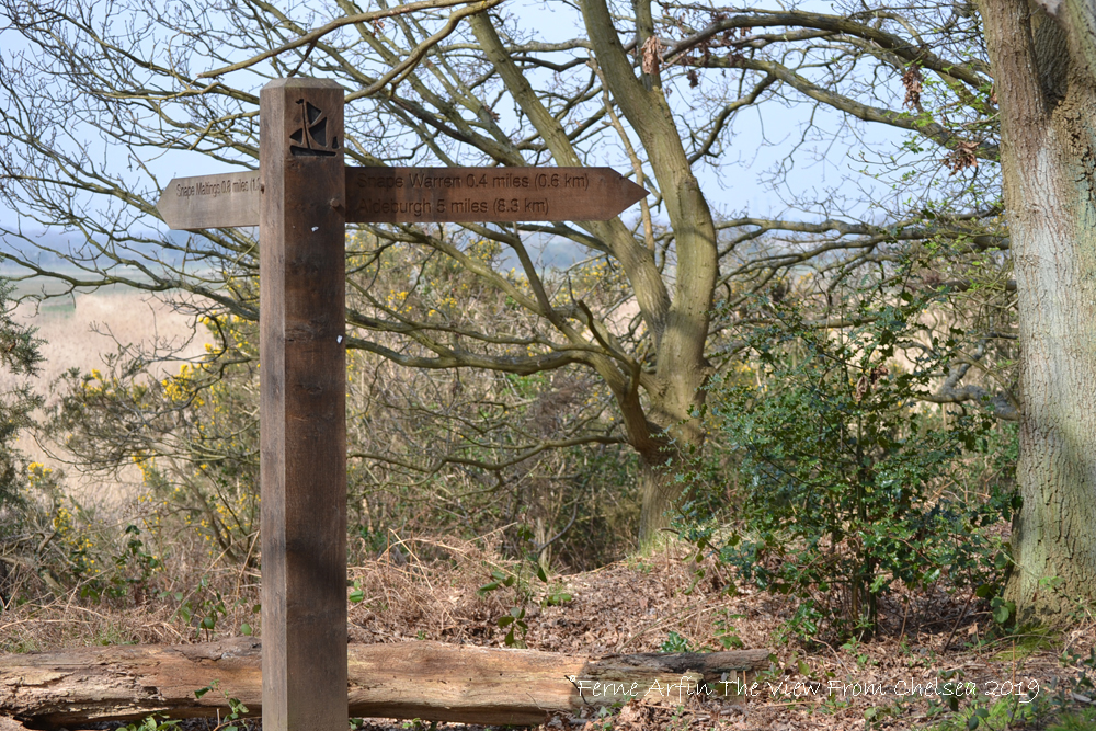 Wooden path marker on the Snape Warren Walk surrounded by twisted trees.