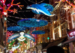 dolphins, starfish and corals made from recycled bubble wrap, carnaby street, christmas lights, london, england, holidays