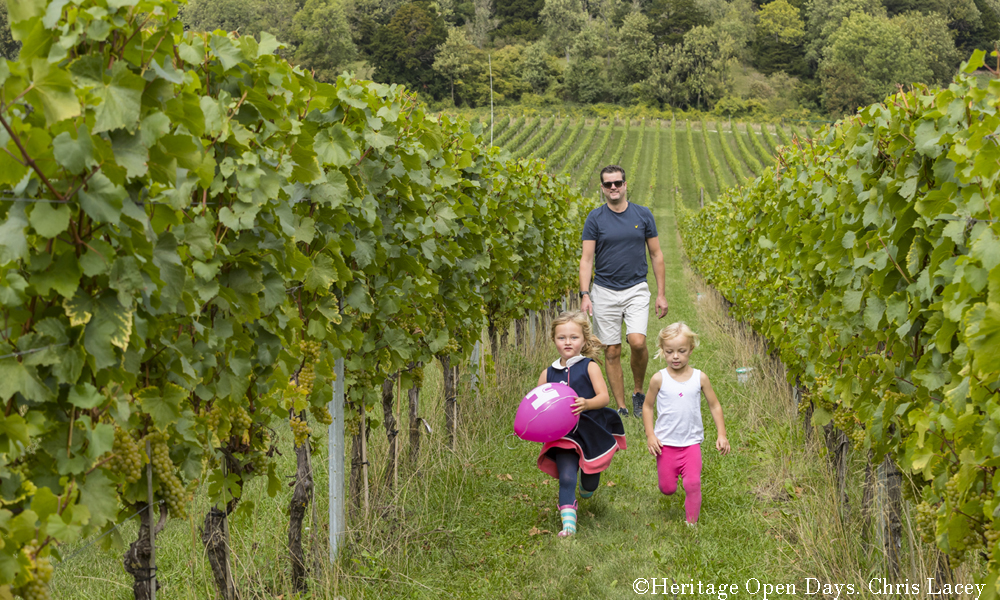 Albury Organic Vineyard