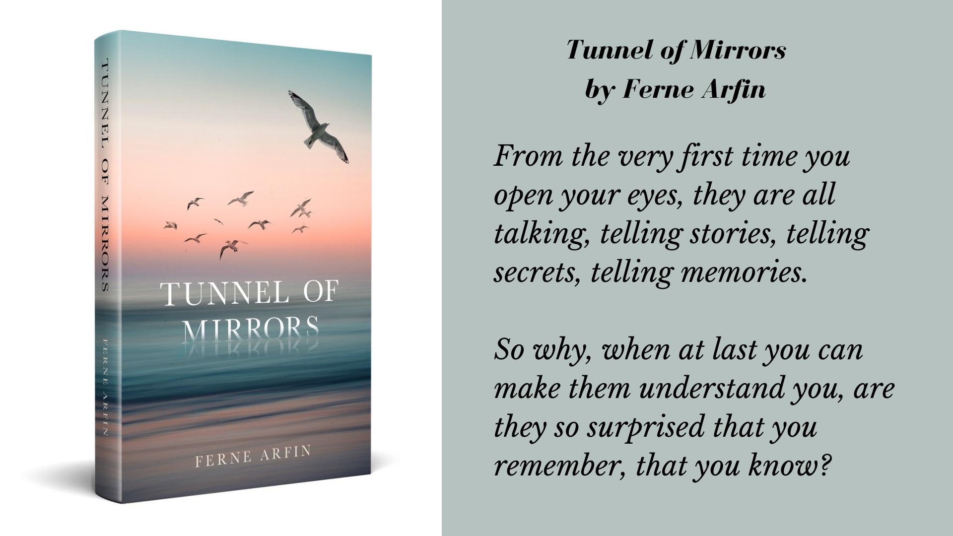 Tunnel of Mirrors cover and quote