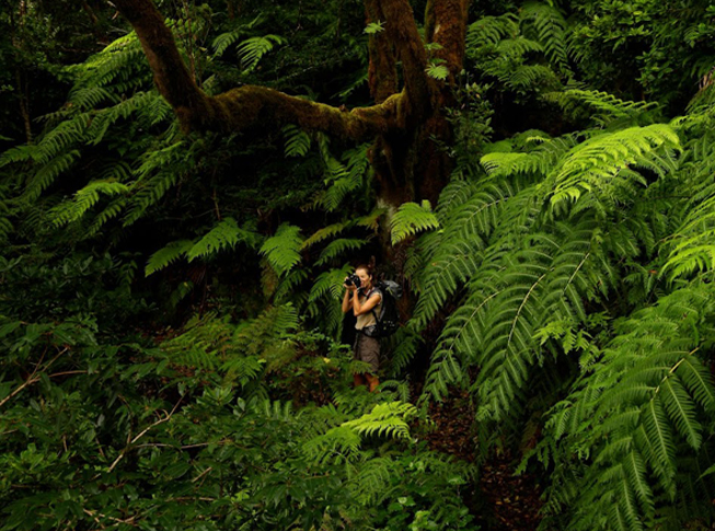 Rain forest nature hike tenerife